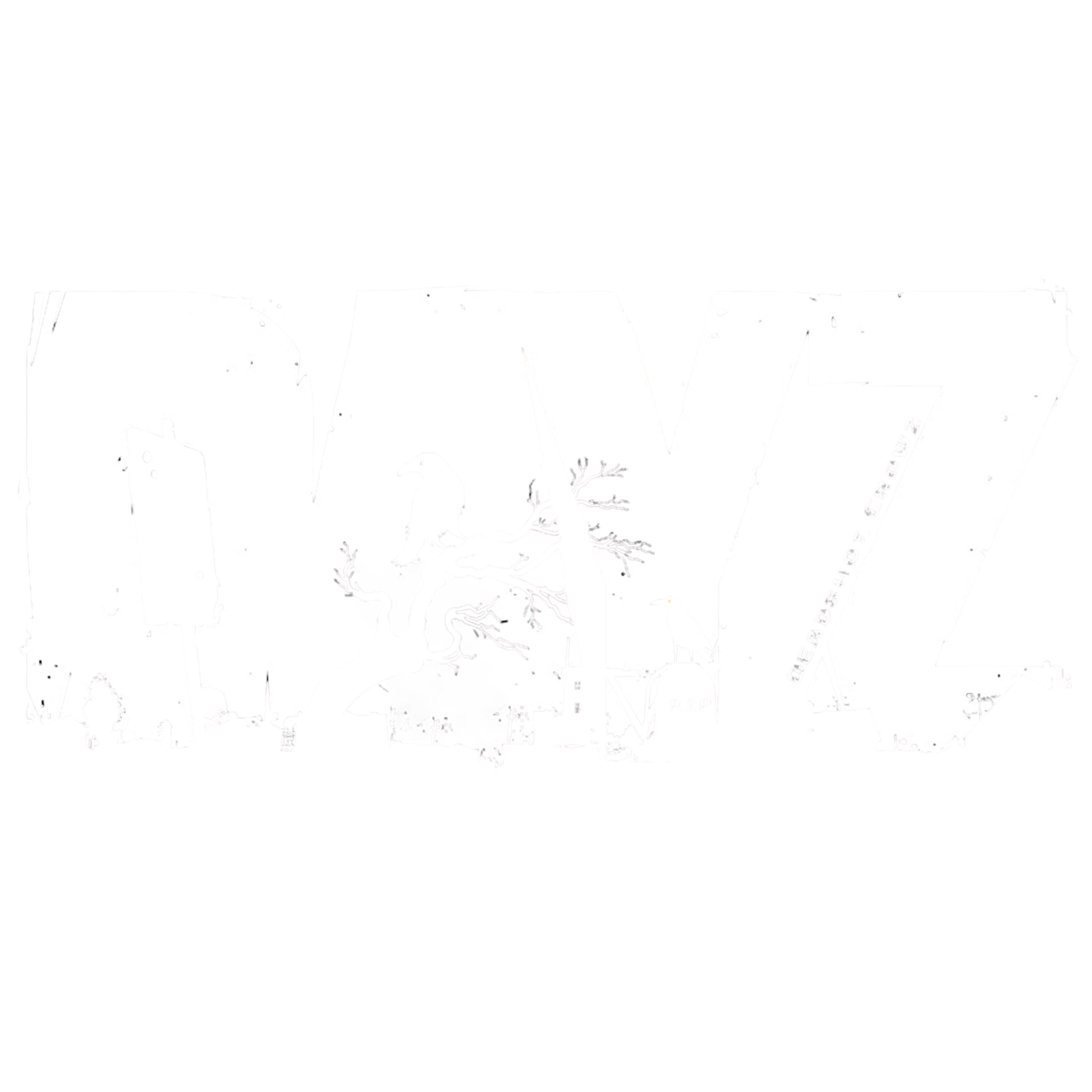 DayZ